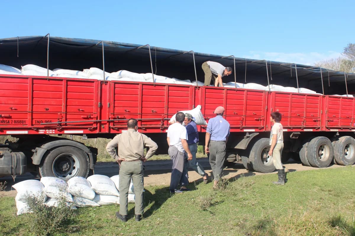 Logistics & Supply Chain